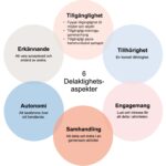 6 delaktighetsaspekter