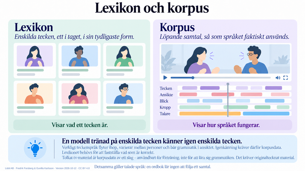 Bild 3 – Lexikon och korpus. Två paneler: lexikon med enskilda tecken (visar vad ett tecken är) och korpus med löpande samtal annoterade i fem lager (visar hur språket fungerar). Slutsats: en modell tränad på enskilda tecken känner igen enskilda tecken; igenkänning kräver korpusdata; tolkat tv-material duger till förträning men inte grammatik.